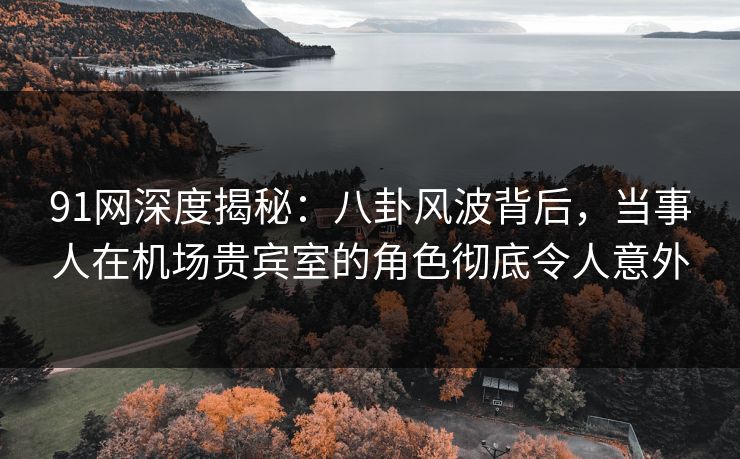 91网深度揭秘：八卦风波背后，当事人在机场贵宾室的角色彻底令人意外