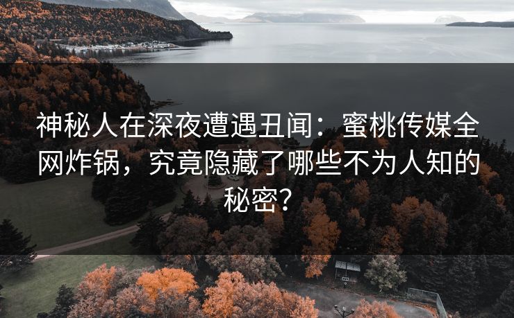 神秘人在深夜遭遇丑闻：蜜桃传媒全网炸锅，究竟隐藏了哪些不为人知的秘密？