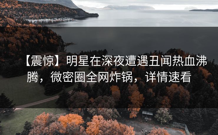【震惊】明星在深夜遭遇丑闻热血沸腾，微密圈全网炸锅，详情速看