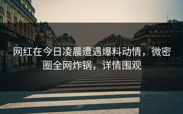 网红在今日凌晨遭遇爆料动情，微密圈全网炸锅，详情围观