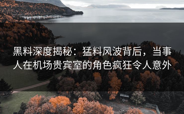 黑料深度揭秘：猛料风波背后，当事人在机场贵宾室的角色疯狂令人意外