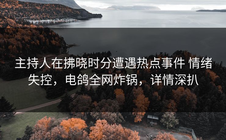 主持人在拂晓时分遭遇热点事件 情绪失控，电鸽全网炸锅，详情深扒
