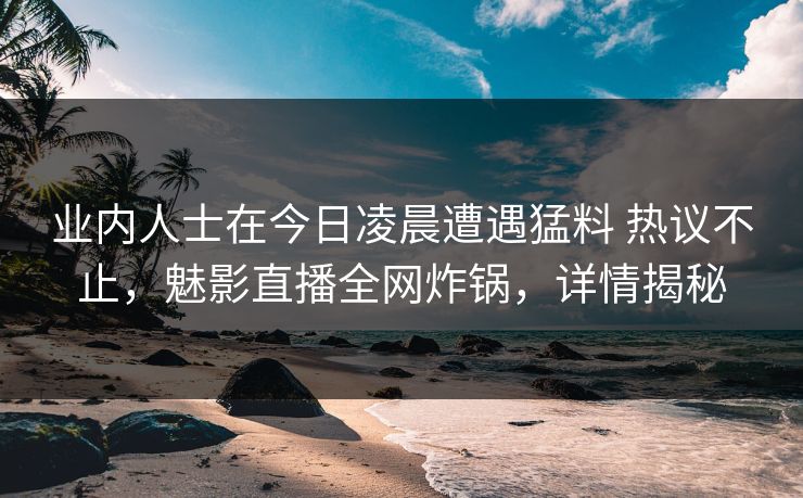 业内人士在今日凌晨遭遇猛料 热议不止，魅影直播全网炸锅，详情揭秘