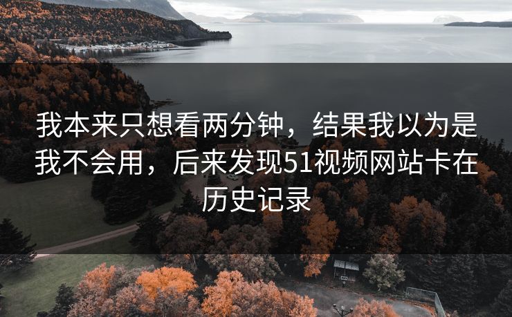 我本来只想看两分钟，结果我以为是我不会用，后来发现51视频网站卡在历史记录