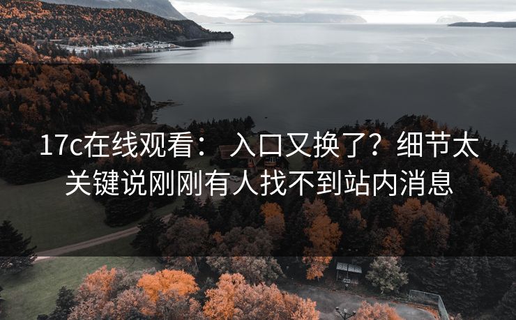 17c在线观看： 入口又换了？细节太关键说刚刚有人找不到站内消息